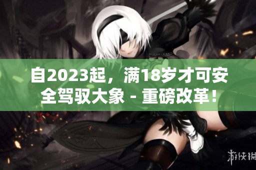 自2023起，滿18歲才可安全駕馭大象 - 重磅改革！