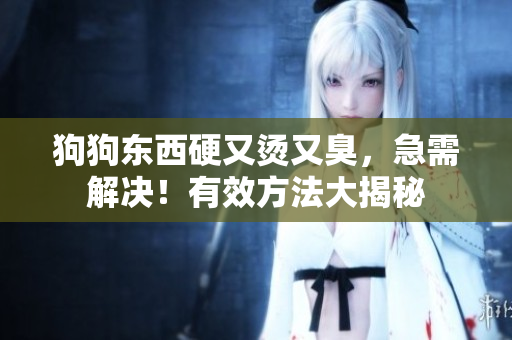 狗狗東西硬又燙又臭，急需解決！有效方法大揭秘