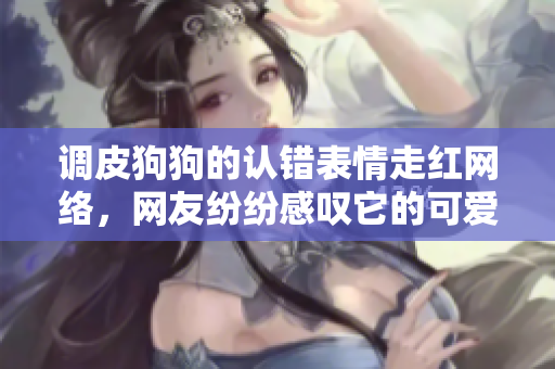 調(diào)皮狗狗的認錯表情走紅網(wǎng)絡(luò)，網(wǎng)友紛紛感嘆它的可愛