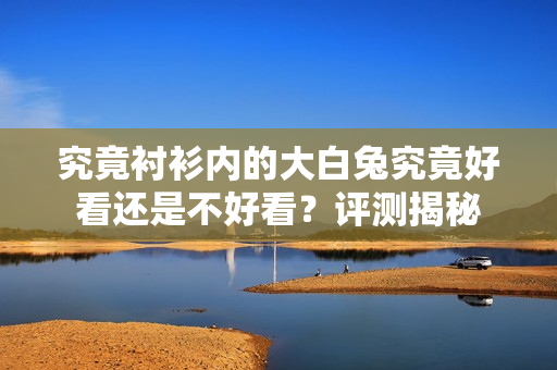 究竟襯衫內(nèi)的大白兔究竟好看還是不好看？評測揭秘
