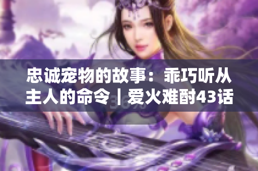忠誠(chéng)寵物的故事：乖巧聽(tīng)從主人的命令｜愛(ài)火難酎43話