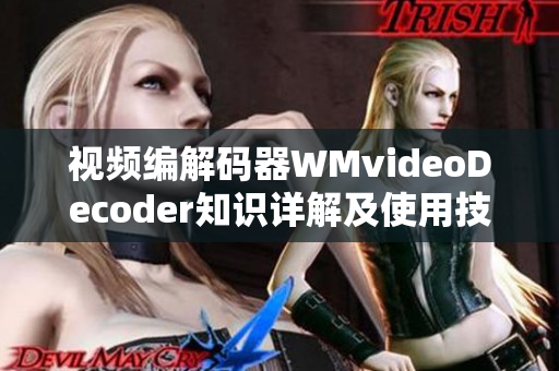 視頻編解碼器WMvideoDecoder知識詳解及使用技巧