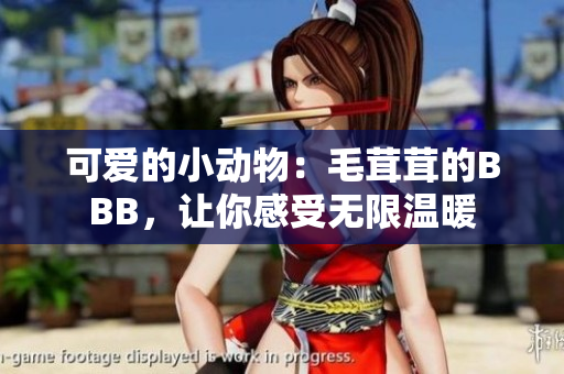 可愛的小動(dòng)物：毛茸茸的BBB，讓你感受無限溫暖