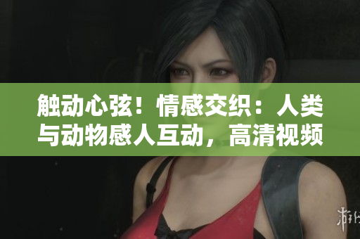 觸動(dòng)心弦！情感交織：人類與動(dòng)物感人互動(dòng)，高清視頻素材免費(fèi)下載