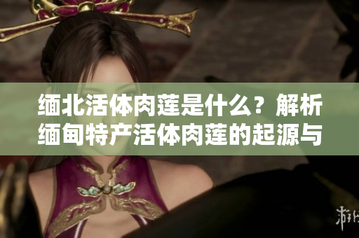 緬北活體肉蓮是什么？解析緬甸特產(chǎn)活體肉蓮的起源與特點(diǎn)