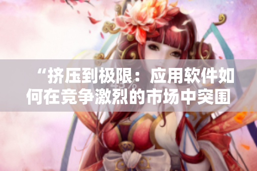“擠壓到極限：應(yīng)用軟件如何在競爭激烈的市場中突圍？”