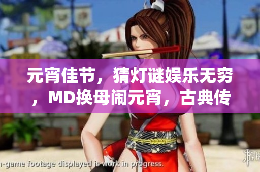 元宵佳節(jié)，猜燈謎娛樂無窮，MD換母鬧元宵，古典傳統(tǒng)重現(xiàn)風(fēng)采
