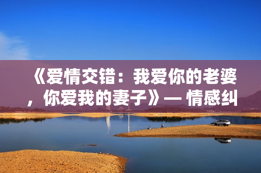 《愛情交錯：我愛你的老婆，你愛我的妻子》— 情感糾葛在臺詞中的表達(dá)