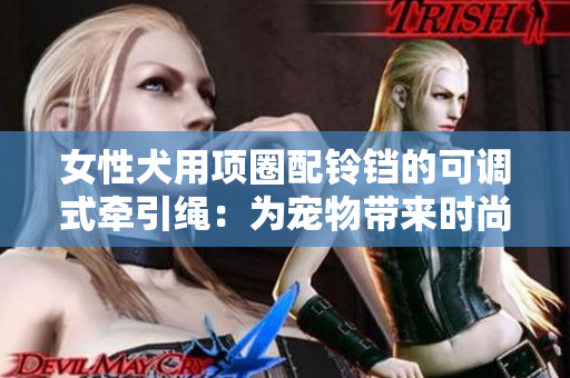 女性犬用項(xiàng)圈配鈴鐺的可調(diào)式牽引繩：為寵物帶來(lái)時(shí)尚與安全