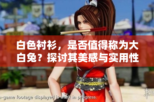 白色襯衫，是否值得稱為大白兔？探討其美感與實(shí)用性