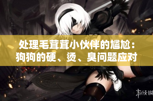處理毛茸茸小伙伴的尷尬：狗狗的硬、燙、臭問題應對攻略