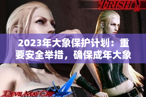2023年大象保護(hù)計劃：重要安全舉措，確保成年大象安全過渡