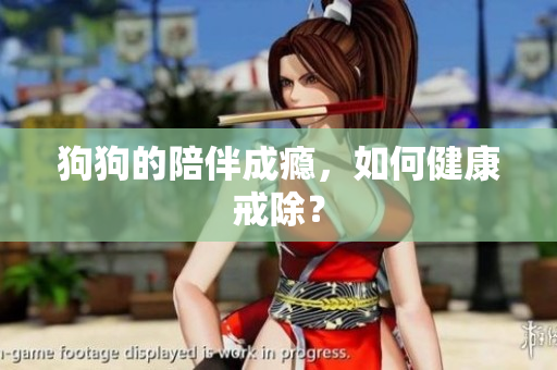 狗狗的陪伴成癮，如何健康戒除？