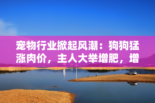 寵物行業(yè)掀起風潮：狗狗猛漲肉價，主人大舉增肥，增加食欲提升營養(yǎng)