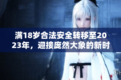 滿18歲合法安全轉(zhuǎn)移至2023年，迎接龐然大象的新時代