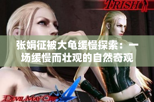 張娟征被大龜緩慢探索：一場緩慢而壯觀的自然奇觀