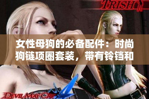 女性母狗的必備配件：時(shí)尚狗鏈項(xiàng)圈套裝，帶有鈴鐺和牽引繩