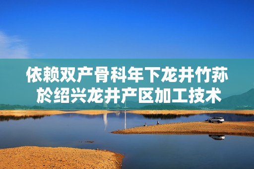 依賴雙產骨科年下龍井竹蓀 於紹興龍井產區(qū)加工技術展示