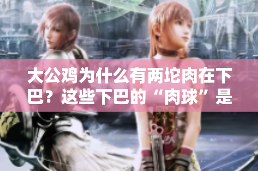 大公雞為什么有兩坨肉在下巴？這些下巴的“肉球”是什么？