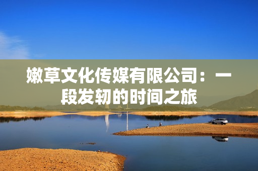 嫩草文化傳媒有限公司：一段發(fā)軔的時(shí)間之旅