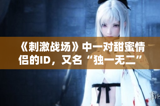《刺激戰(zhàn)場》中一對甜蜜情侶的ID，又名“獨(dú)一無二”的游戲標(biāo)識(shí)