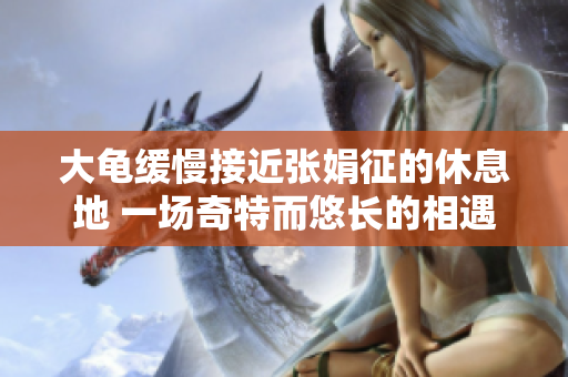 大龜緩慢接近張娟征的休息地 一場奇特而悠長的相遇