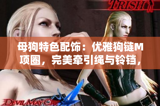 母狗特色配飾：優(yōu)雅狗鏈M項(xiàng)圈，完美牽引繩與鈴鐺，彰顯女性獨(dú)特魅力