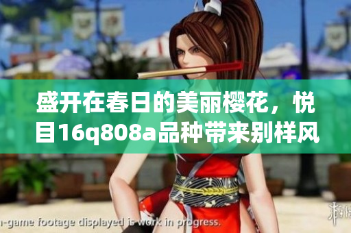 盛開在春日的美麗櫻花，悅目16q808a品種帶來別樣風(fēng)采
