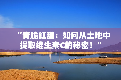 “青脆紅甜：如何從土地中提取維生素C的秘密！”