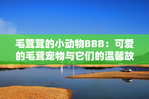 毛茸茸的小動(dòng)物BBB：可愛的毛茸寵物與它們的溫馨故事