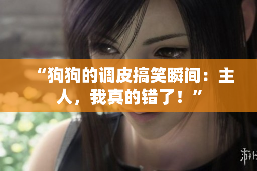 “狗狗的調(diào)皮搞笑瞬間：主人，我真的錯(cuò)了！”
