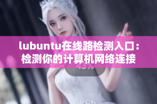 lubuntu在線路檢測(cè)入口：檢測(cè)你的計(jì)算機(jī)網(wǎng)絡(luò)連接