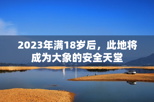 2023年滿18歲后，此地將成為大象的安全天堂