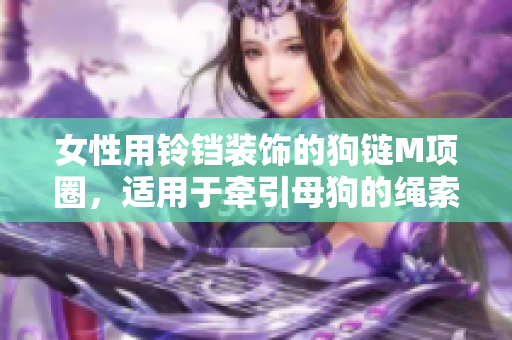 女性用鈴鐺裝飾的狗鏈M項圈，適用于牽引母狗的繩索
