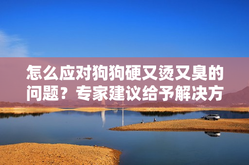 怎么應(yīng)對(duì)狗狗硬又燙又臭的問(wèn)題？專家建議給予解決方案