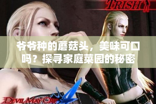 爺爺種的蘑菇頭，美味可口嗎？探尋家庭菜園的秘密