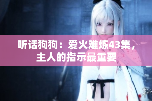 聽話狗狗：愛火難煉43集，主人的指示最重要