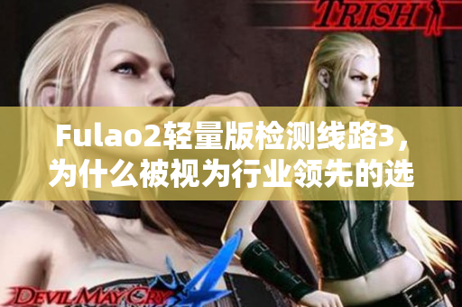 Fulao2輕量版檢測線路3，為什么被視為行業(yè)領(lǐng)先的選擇？