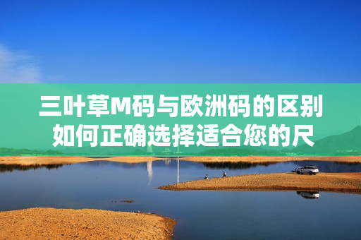 三葉草M碼與歐洲碼的區(qū)別 如何正確選擇適合您的尺碼？