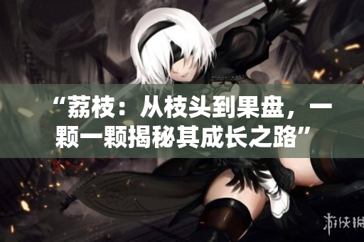 “荔枝：從枝頭到果盤，一顆一顆揭秘其成長之路”