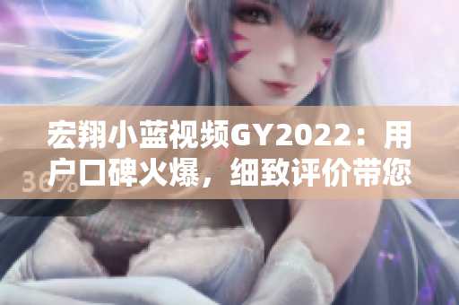 宏翔小藍視頻GY2022：用戶口碑火爆，細致評價帶您了解其表現(xiàn)