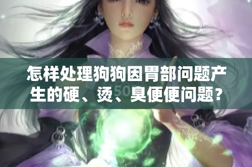 怎樣處理狗狗因胃部問題產(chǎn)生的硬、燙、臭便便問題？