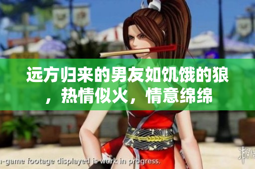 遠(yuǎn)方歸來的男友如饑餓的狼，熱情似火，情意綿綿