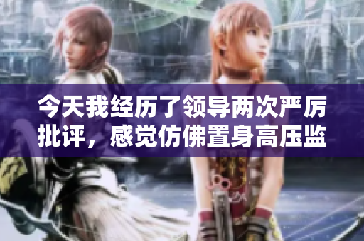 今天我經(jīng)歷了領(lǐng)導(dǎo)兩次嚴(yán)厲批評(píng)，感覺仿佛置身高壓監(jiān)獄