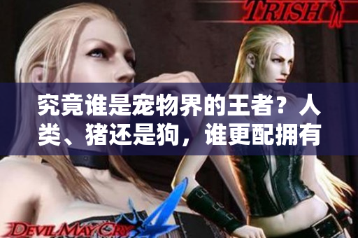 究竟誰是寵物界的王者？人類、豬還是狗，誰更配擁有這個稱號？