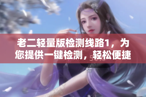 老二輕量版檢測(cè)線路1，為您提供一鍵檢測(cè)，輕松便捷！