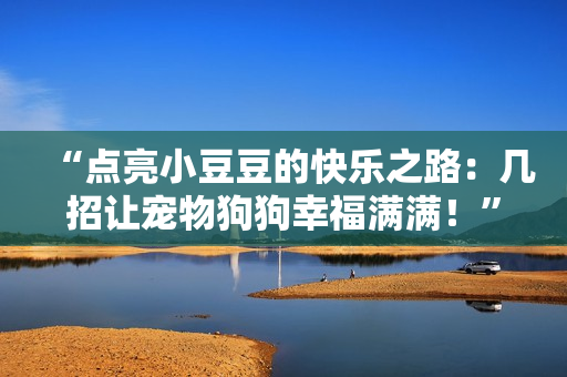 “點(diǎn)亮小豆豆的快樂之路：幾招讓寵物狗狗幸福滿滿！”