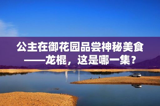 公主在御花園品嘗神秘美食——龍棍，這是哪一集？