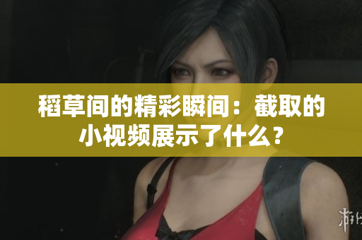 稻草間的精彩瞬間：截取的小視頻展示了什么？
