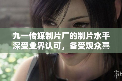九一傳媒制片廠的制片水平深受業(yè)界認(rèn)可，備受觀眾喜愛